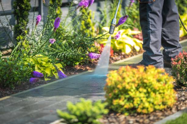 Best Parking Lot and Garage Cleaning  in Beaver Falls, PA